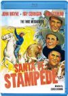 Santa Fe Stampede